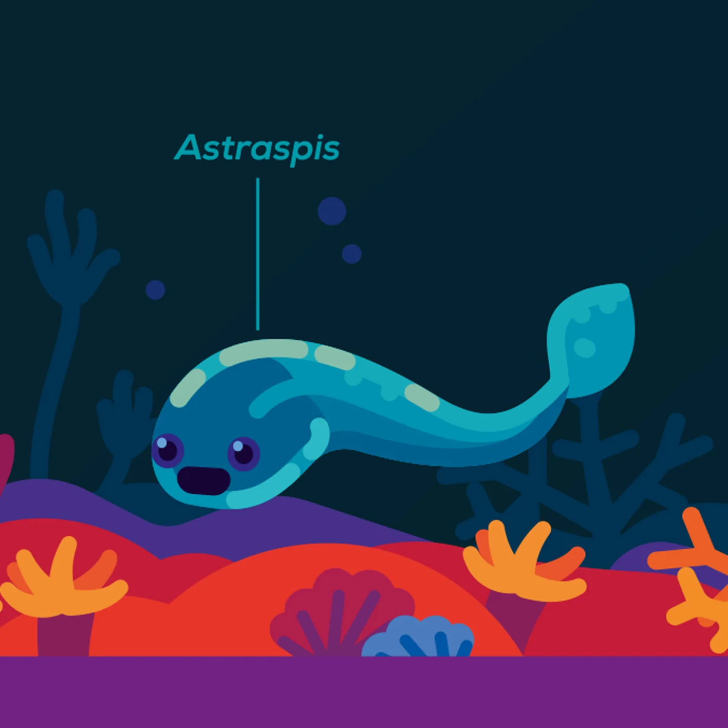 Time Traveller's Bundle - Image 10